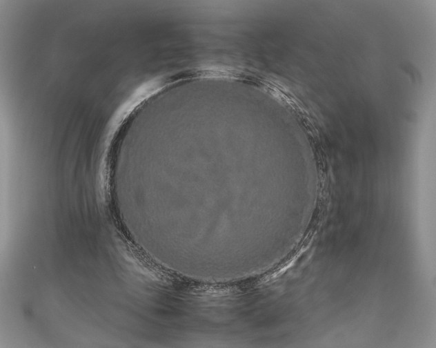 X0000111190343200907011416