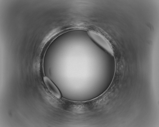 X0000111190344200907011416