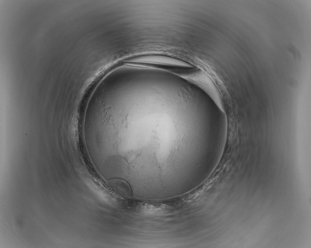 X0000111190346200907011416