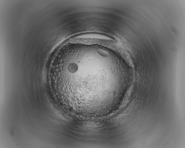 X0000111190347200907011416