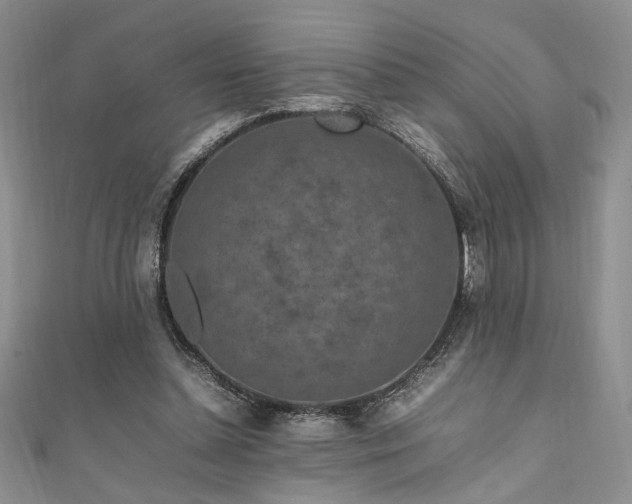 X0000111190348200907011416