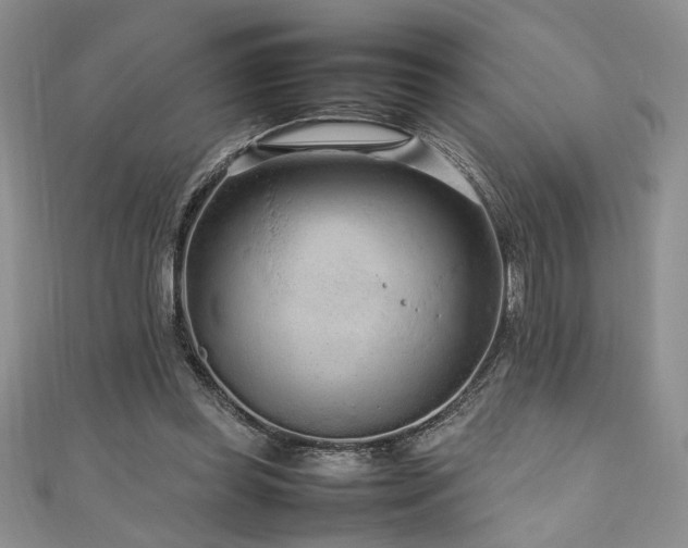 X0000111190349200907011416