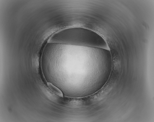 X0000111190350200907011416