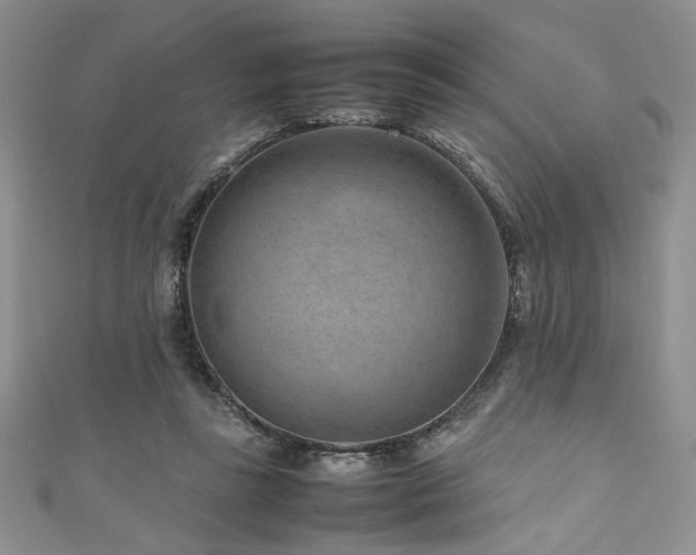 X0000111190355200907011416