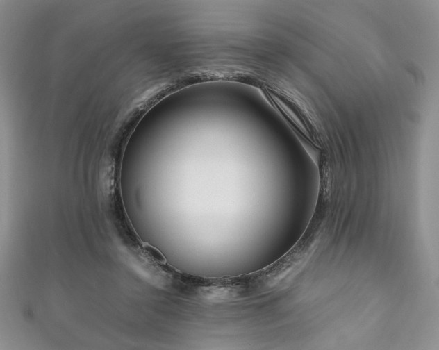 X0000111190356200907011416