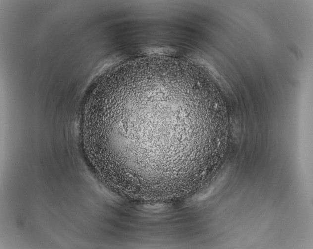 X0000111190357200907011416