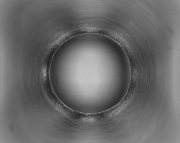 X0000111190358200907011416