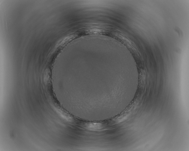 X0000111190361200907011416