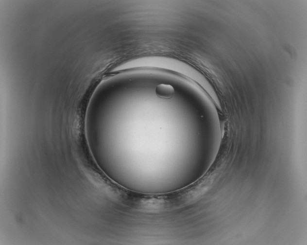 X0000111190362200907011416