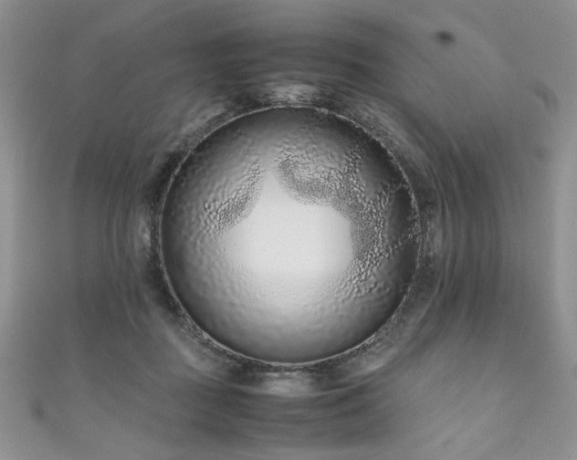 X0000111190363200907011416