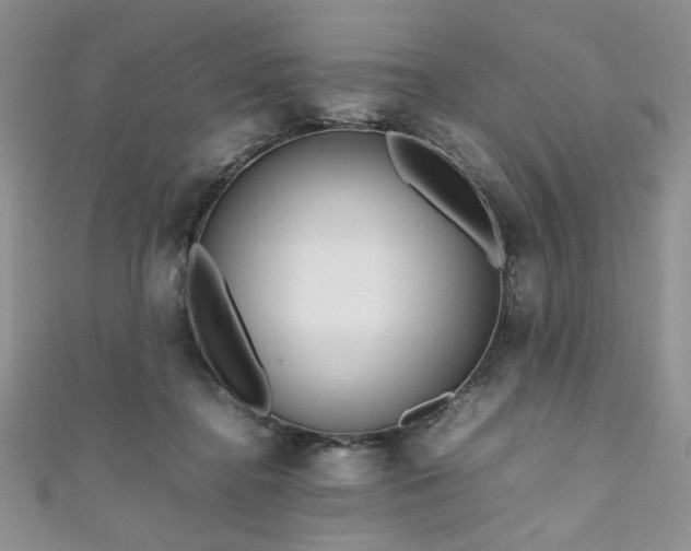 X0000111190364200907011417