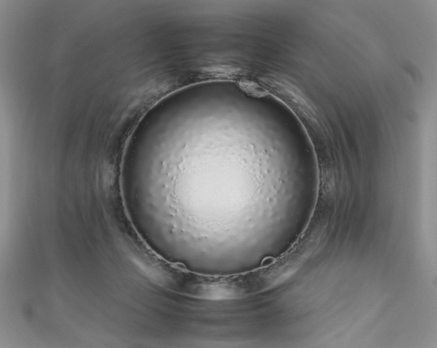 X0000111190365200907011417