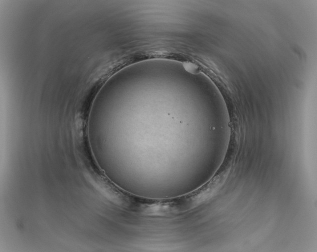 X0000111190366200907011417