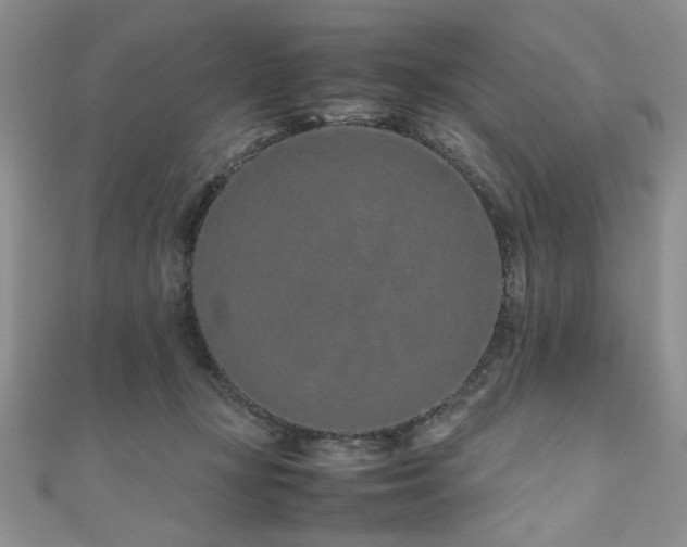 X0000111190367200907011417