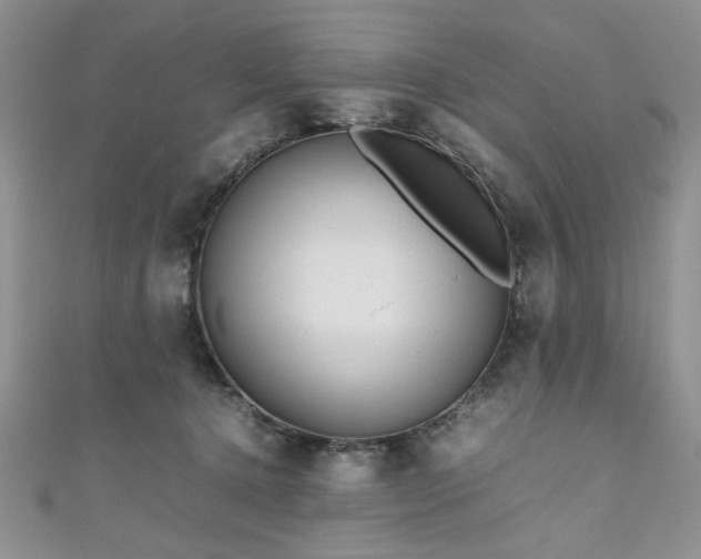 X0000111190368200907011417