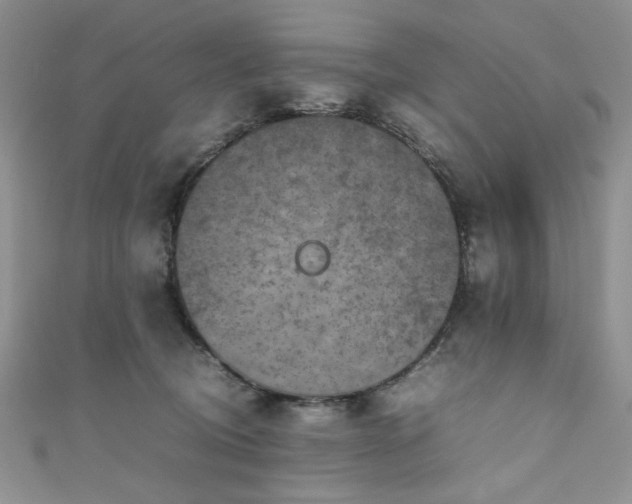 X0000111190370200907011417