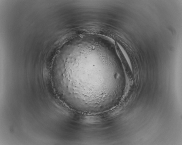 X0000111190371200907011417