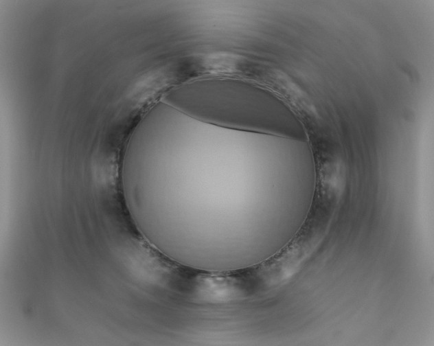 X0000111190372200907011417