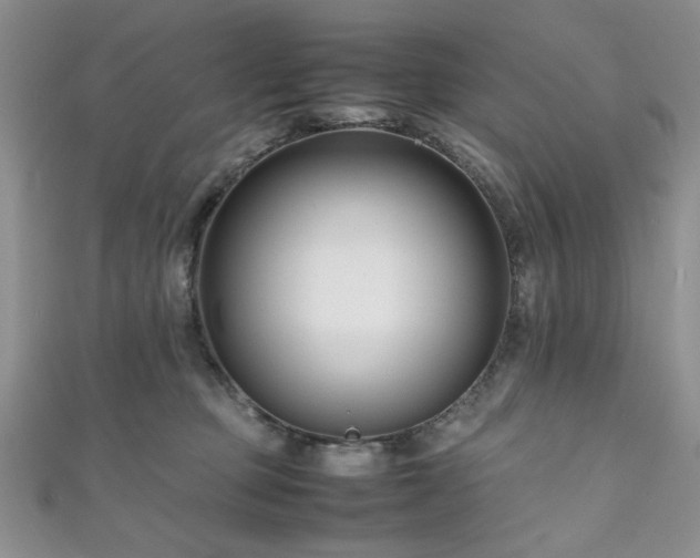 X0000111190373200907011417