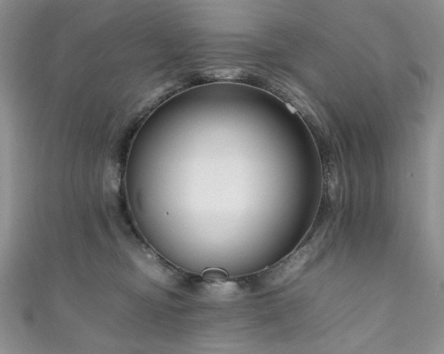 X0000111190374200907011417