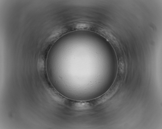 X0000111190375200907011417