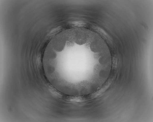 X0000111190377200907011417