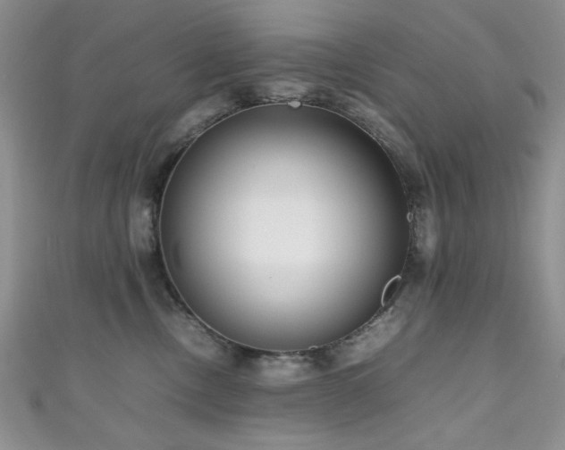 X0000111190378200907011417