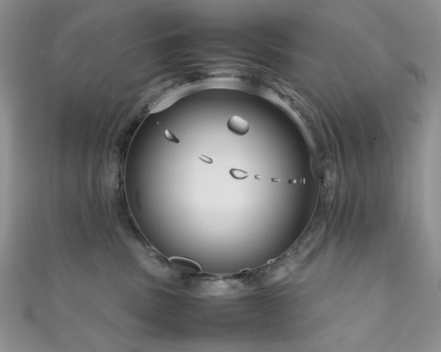 X0000111190379200907011417