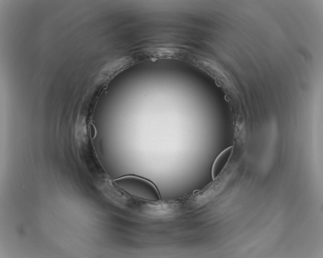 X0000111190381200907011417