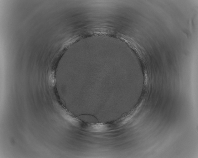 X0000111190383200907011417