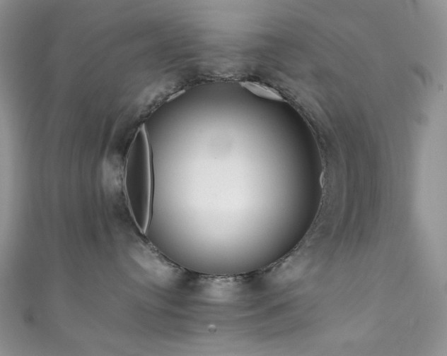 X0000111190384200907011417