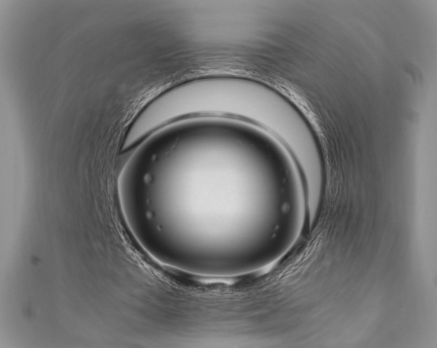 X0000111190385200907011416