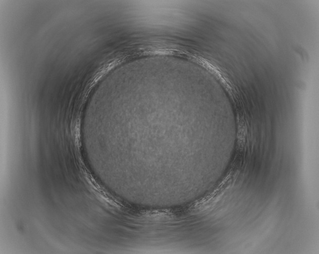 X0000111190386200907011416