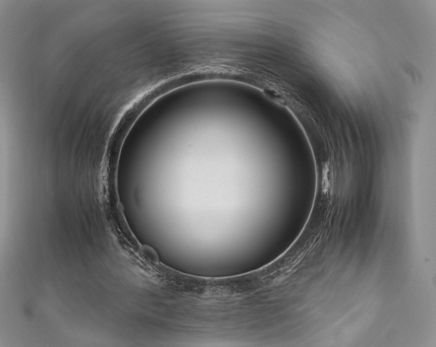 X0000111190388200907011416