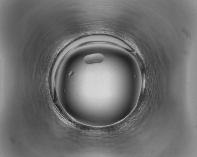 X0000111190389200907011416