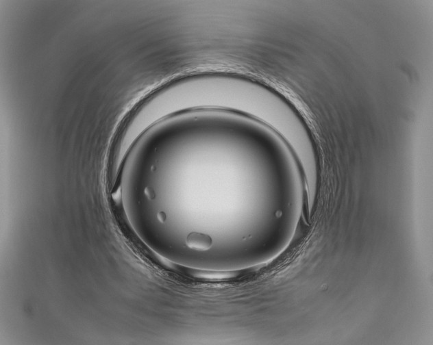 X0000111190391200907011416