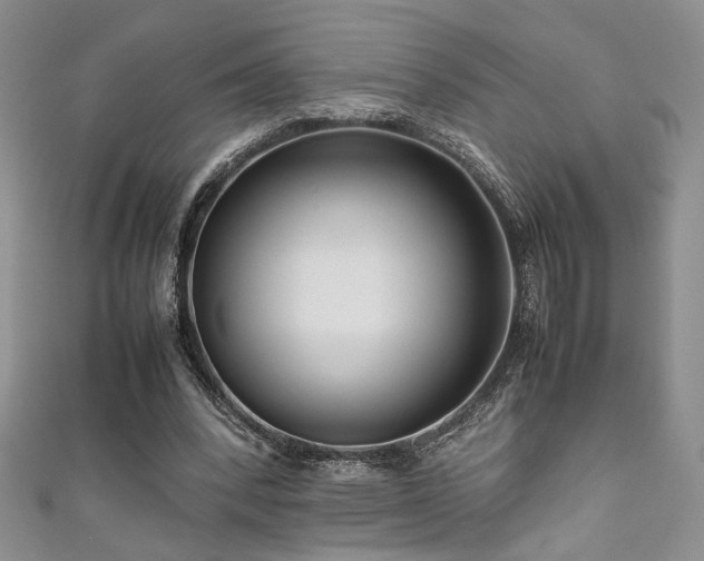 X0000111190392200907011416