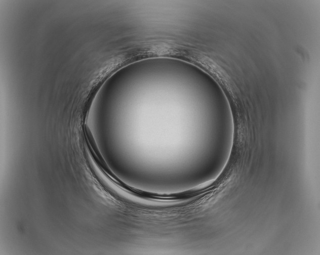 X0000111190393200907011416