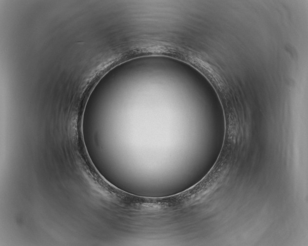 X0000111190394200907011416