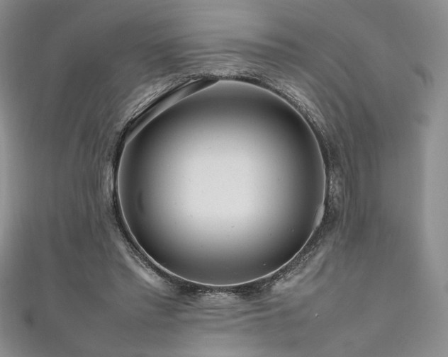 X0000111190397200907011416