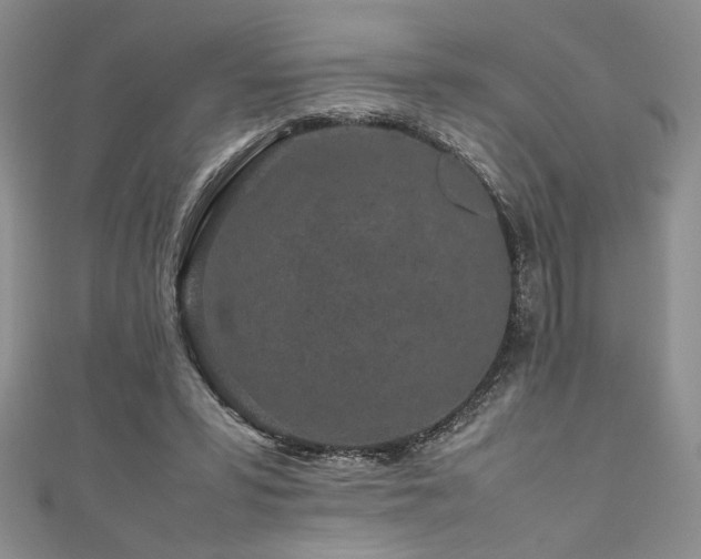 X0000111190399200907011416