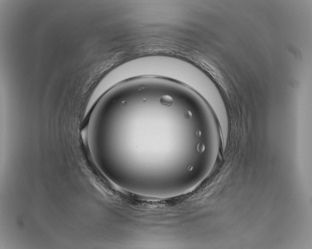 X0000111190401200907011416