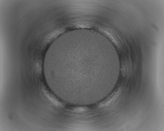 X0000111190402200907011416