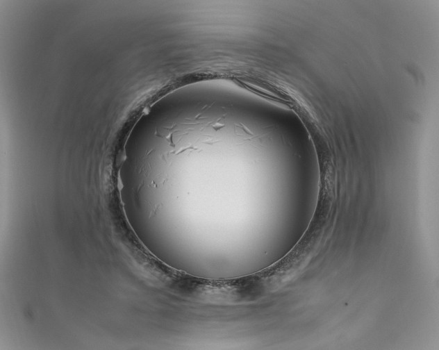 X0000111190403200907011416