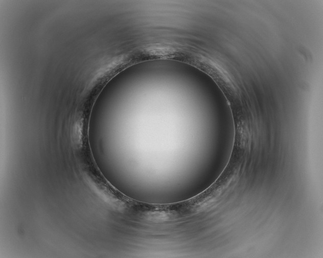 X0000111190404200907011416