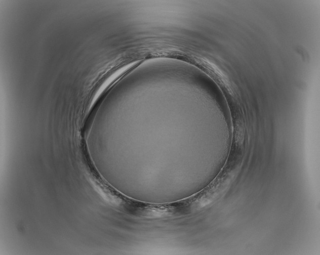 X0000111190405200907011416