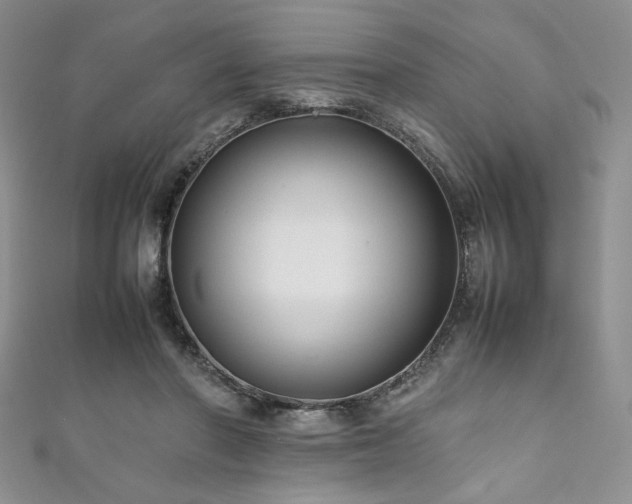 X0000111190406200907011416