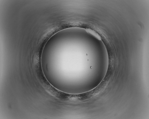 X0000111190407200907011416