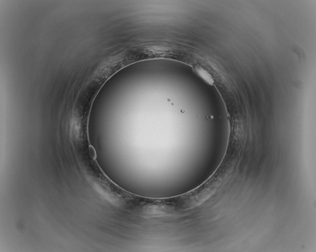 X0000111190408200907011416