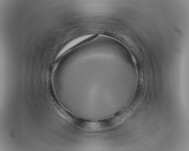 X0000111190409200907011416